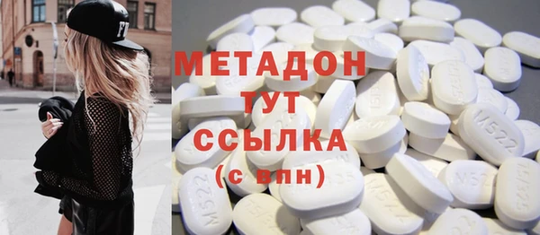 прущие грибы Алзамай