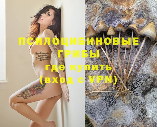 хмурый Алексин