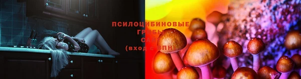 хмурый Алексин