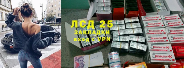 прущие грибы Алзамай