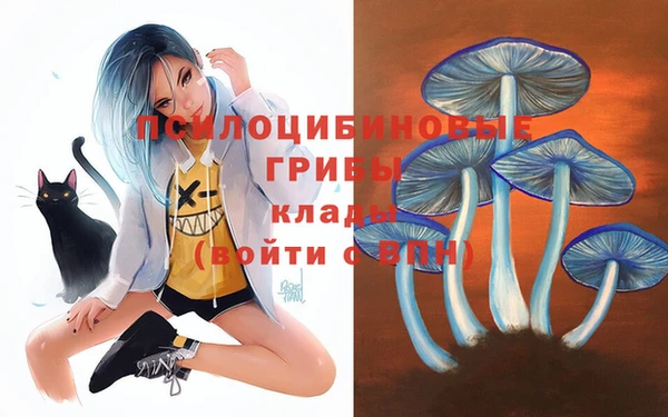 хмурый Алексин