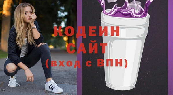 хмурый Алексин