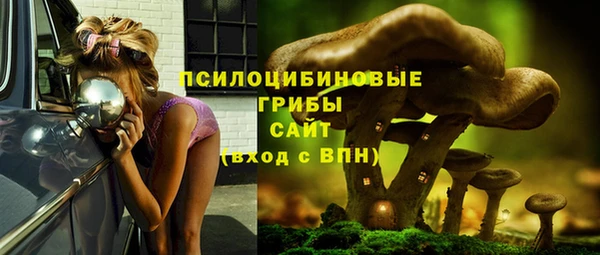 хмурый Алексин