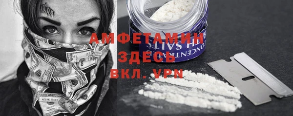 PSILOCYBIN Каменка