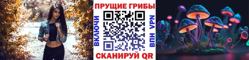 Псилоцибиновые грибы MAGIC MUSHROOMS  где купить   Буй 